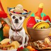 Syhood 6 Pcs Christmas Fiesta Dog Chew Toys Dog Sombrero Set, Include 1 Mexican Dog Sombrero Hat for Small Dog, 5 Squeak Plush Toys, Dog Chew Toy for Christmas Pet Gift