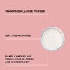 ARTDECO Fixing Powder - Waterproof Transparent Loose Setting Powder - Mattifies Makeup, Sets Cream Products - Ideal for Oily Skin - Dermatologically Approved – 0.35 Oz