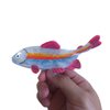 Novelty Rainbow Stripe Fish Hair Clip,Acetate Hair Claw,Small Hair Clips for Women