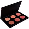 SHANY Shimmer & Matte Warm-Toned Blush Palette - Layer 6 - Refill for the 6 Layer Mini Masterpiece Collection Makeup Set