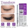 Lash Serum for Eyelash Growth - 100% Herbal Eyelash Serum to Grow Lashes, Waterproof Eyelash Growth Serum for Thicker, Fuller, and Longer Lashes 0.1 Fl. Oz.