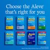 Aleve Back & Muscle Pain Relief Naproxen Sodium Tablets, Pain Reliever & Fever Reducer, Medicine for Body , 250 Count