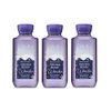 Lot of 3 Bath & Body Works Winterberry Wonder Shea & Vitamin Shower Gel (Winterberry Wonder)