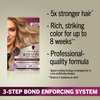 Schwarzkopf Keratin Blonde Hair Dye Pearl Blonde 11.4, Hi-Lift Permanent Color, 1 Application - Hair Color Enriched with Keratin, Lightens up to 4 Levels and Protects Hair from Breakage*