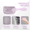 Daily Gard Detangling Brush, Dry and Wet Vented Detangler Hair Brush for Women and Men, Professional Paddle Curved Styling Hairbrush for Straight/Curly/Thick/Long/Wavy/Damaged Hair, Purple
