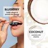 ESW Beauty Blueberry Coconut Milk Firming Plant-Based Milk Mask Multipack