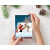 Stonehouse Collection - Christmas Cards Boxed with Envelopes, Funny Christmas Cards, Happy Holidays Cards, Funny Santa Holiday Greeting Card, Boxed Christmas Cards - Set of 18