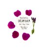 Dream Balm - 2 fl oz - Herbal Salve - Dry Skin Moisturizer - Coconut and Herbal Scent