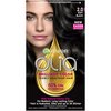 Garnier Olia Ammonia Free Permanent Hair Color, 100% Gray Coverage (Packaging May Vary), 2.0 Soft Black Hair Dye, Pack of 1