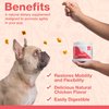 pawlife Arthritis Dog Joint Chews| Glucosamine, Chondroitin, Omega-3| MSM Support for Healthy Joints| 120 Veterinarian Formulated Soft Chews| Up to 4-Month Supply