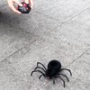 Tipmant RC Spider Remote Control Tarantula Realistic Animal Crawlers Scary Kids Halloween Christmas Prank Gag Toys Birthday Gifts (Black Hair)