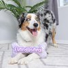 Huxley & Kent for Dogs | Funny Bunny Bone (Small) | Easter/Spring Funny Dog Toy | Power Plush Dog Toy with Squeaker | Dog Gift | Fun, Durable | H&K Squeaky Dog Toy