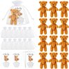 Zhanmai Set of 12 Mini Plush Bears Little Pocket Bears Sympathy Gift for Kids Inspirational Bear Hug Gift Card Party Favors White Organza Bags(Cute Style, 8-9 cm)