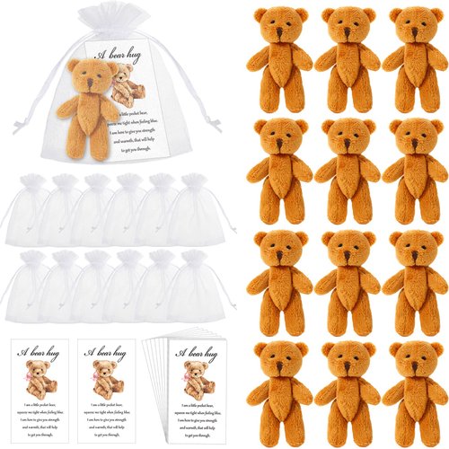 Zhanmai Set of 12 Mini Plush Bears Little Pocket Bears Sympathy Gift for Kids Inspirational Bear Hug Gift Card Party Favors White Organza Bags(Cute Style, 8-9 cm)