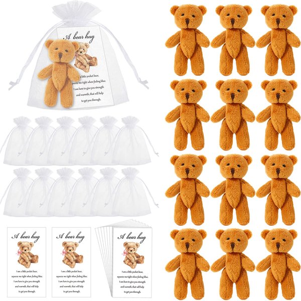 Zhanmai Set of 12 Mini Plush Bears Little Pocket Bears Sympathy Gift for Kids Inspirational Bear Hug Gift Card Party Favors White Organza Bags(Cute Style, 8-9 cm)