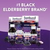 Sambucol Elderberry Gummies for Adults with Vitamin C; Zinc; Sambucus Elderberry Gummies for Immune Support with High Antioxidants; Gluten Free; Vegan; 1 Gummy Per Serving; 90 Count (90 Day Supply)