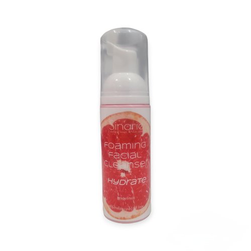 Sinarie Soaps &amp; Skin Care Oil-Free Foaming Face Wash | Facial Cleanser, 2.5 oz, 1 Count (Hydrate ...