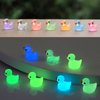 104Pcs Luminous Mini Resin Animals Mini Animals Figures to Hide Miniature Figurines Glow in Dark Ducks Dinosaurs Frogs, 7 Combination Sets for Landscape Dollhouse Decor Fairy Garden Accessories