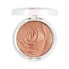 Physicians Formula Rosé All Day Highlighter Blush Face Powder, Pink Petal Glow, Dermatologist Tested, Clinicially Tested