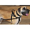 DT Universal No Pull Dog Harness, On Duty, Black, Medium, Fits Girth Size: 26-Inch to 32-Inch