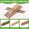 FOIMAS Silvervine Sticks Cat Toys,10pcs Cat Chew Stick Catnip Chew Toy Interactive Cat Toy for Cat Kitten Teeth Cleaning Treat Toys Indoor Outdoor