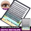 Dedila 200Pcs Handmade Individual False Eyelashes Thickness 0.07mm D Curl Mixed 10-12-14mm /11-13-15mm/12-14-16mm/16-18-20mm 3D Volume Cluster Eye Lashes Etensions (10-12-14mm)