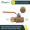 SharkBite 3/4 x 3/4 Inch Ball Valve with FNPT Connector, Push to Connect Brass Plumbing Fitting, PEX Pipe, Copper, CPVC, PE-RT, HDPE, 22186-0000LF