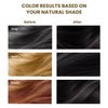 Instant Black Hair Shampoo, gentle botanical formula - ammonia free - unisex hair color shampoo - quick and easy - lasts 30 days 3-in-1 black hair color (200ml Bottle)