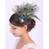 Anglacesmade Bridal Feather Hair Clip Peacock Feather Fascinator Feather Brooch for Wedding Prom Festival Party 20s Flapper Headpiece for Women and Girls