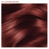Adore Semi Permanent Hair Color - Vegan and Cruelty-Free Red Hair Dye - 4 Fl Oz - 076 Copper Brown (Pack of 1)