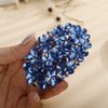 Aimimier Flower Crystal Hair Clips Shiny Rhinestone Hair Spring Clamp Gem Hair Pins Bridal Hairpiece Wedding Hair Accessories for Women (Blue)