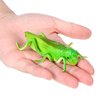 Toyvian 10 Pcs Green Grasshopper Toy Simulation Prank Toy for Kids Halloween Party Favors