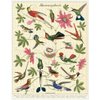 Cavallini 1000 Piece Puzzle, Hummingbirds (PZL/HUM)