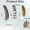 30Pcs Natural Turkey Feathers, 5.3-7 Inch Craft Feathers Pheasant for Hats, 3 Style Mixed Natural Feathers for Carnival Costume Feather Mask Wedding Party Decoration Flower Arrangement