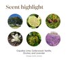 Young Living Stress Away Essential Oil Blend 5ml - Calming and Soothing Aromatherapy with Lime, Cedarwood, Vanilla, and Lavender - Perfect for Relaxation and Stress Relief On-The-Go