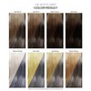 Adore Semi Permanent Hair Color - Vegan and Cruelty-Free Hair Dye - 4 Fl Oz - 158 Mystic Gray (Pack of 1)