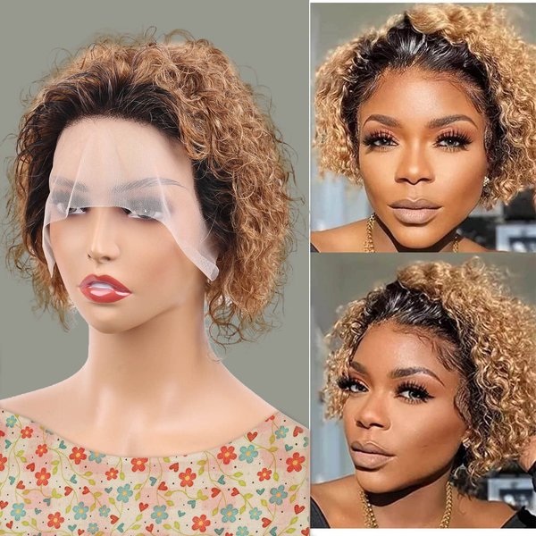 DaiMer Pixie Cut Wig Human Hair Pre Plucked Short Curly Pixie Wig Glueless with Baby Hair 150% Density Curly Pixie Bob Wigs (6 Inch, 1B27#)