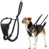 HALTI No Pull Harness - To Stop Your Dog Pulling on the Leash. Adjustable, Lightweight and Easy to Use. Reflective Dog Training Harness for Small Dogs (Size S)