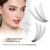 WONSIS Individual Lashes, Lash Clusters, 240 Pcs 10D Individual Lash Extensions, Natural Soft Lightweight Reusable, Thickness 0.07mm C Curl False Eyelashes 8/9/10/11/12mm (10D 8-12mm)
