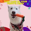 SAFLOGA 12 Dog Toys Pack Puppy Toy Bundle, Dog Rope Toys, Pack Puppy Chew Toys, Assorted Tough Rope, Toys for Small to Medium Dogs, Puppy Toys to Keep Them Busy, Puppy Teething Toys Dog Toy Bundle.