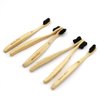 Virgin Forest Bamboo Toothbrush, Natural Eco Friendly Biodegradable Charcoal Tooth Brushes, Pack of 6