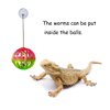 Fejapa 12 Pack Lizard Bearded Dragon Feeding Toys Exercise Ball Bells Reptile Food Toys Ball Interactive Toys Feed Toys for Chameleons Gecko Small Animals Reptile Habitat Terrarium Tank