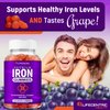 LifeCentricHealth Iron Gummies for Adults & Kids | Biotin Zinc Vitamin B Folic Acid Gummies | Vegan Gluten Free Blood Builder Anemia Supplements | Tasty Energy Boosting Iron Supplement for Women & Men