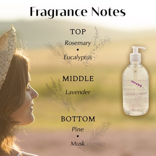 Provence Sante Natural Liquid Soap - Moisturizing Almond Oil Hand Soap with Calming Lavender Scent - Elegant Pump Dispenser for Kitchen & Bath (16.9 oz)