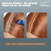 Clairol Root Touch-Up by Nice'n Easy Permanent Hair Dye, 6R Light Auburn/Reddish Brown Hair Color, Pack of 2