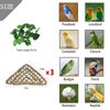 BNOSDM Bird Seagrass Mat, Parrot Natural Seagrass Woven Net Hammock Parakeet Climbing Rope Chew Toys Hideout Bird Cage Accessories for Lovebird Cockatiel Conure Budgie Hamster Rats