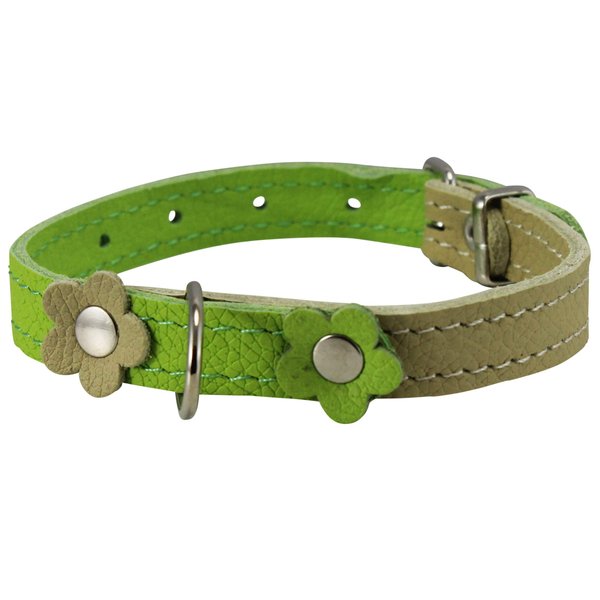 Genuine Leather Designer Dog Collar, Daisy, Studs. 11" x1/2" Wide. Fits 8"-10" Neck, Yorkshire Terrier, Puppies