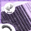 WENDY Lashes Clusters Multi-Type DIY Eyelash Extension - Lash Clusters D Curl 40D & Bottom Lashes, Black Cluster Eyelash Extensions Wispy Soft Individual Lashes Suitable for Beginners, 10-16 MM