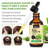 ELBBUB Jamaican Black Castor Oil - for Hair Growth Skin Condition, Eyebrows Eyelashes, Nail Care Grow, Moisturizing Massage Oil for Aromatherapy 2 fl oz