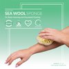 Neptune Natural Sea Wool Sponge - All Natural Honeycomb Renewable Sea Sponge, Medium, Approx. 4 Inches